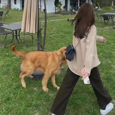 鹿乃子乃子虎视眈眈